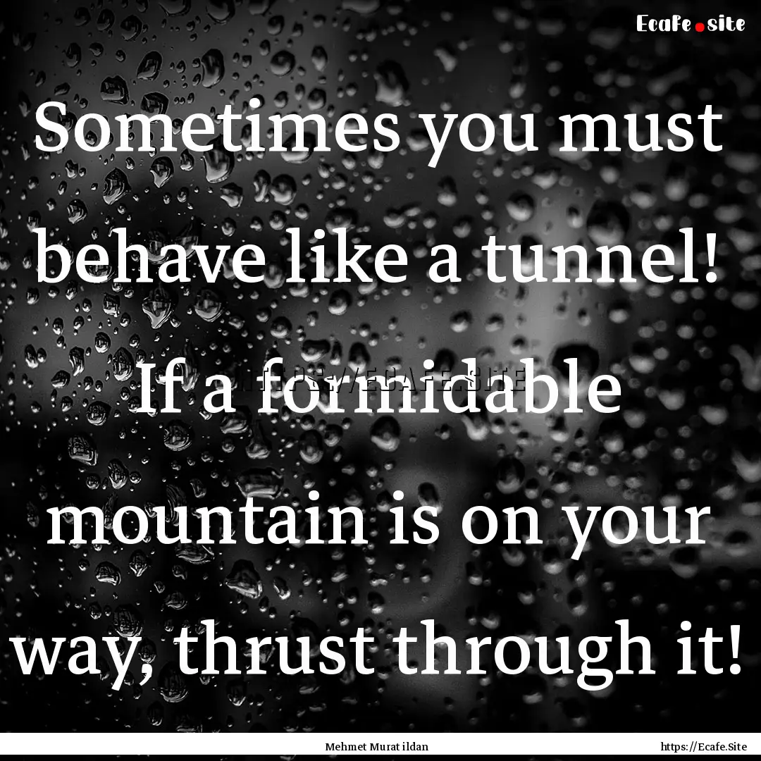 Sometimes you must behave like a tunnel!.... : Quote by Mehmet Murat ildan