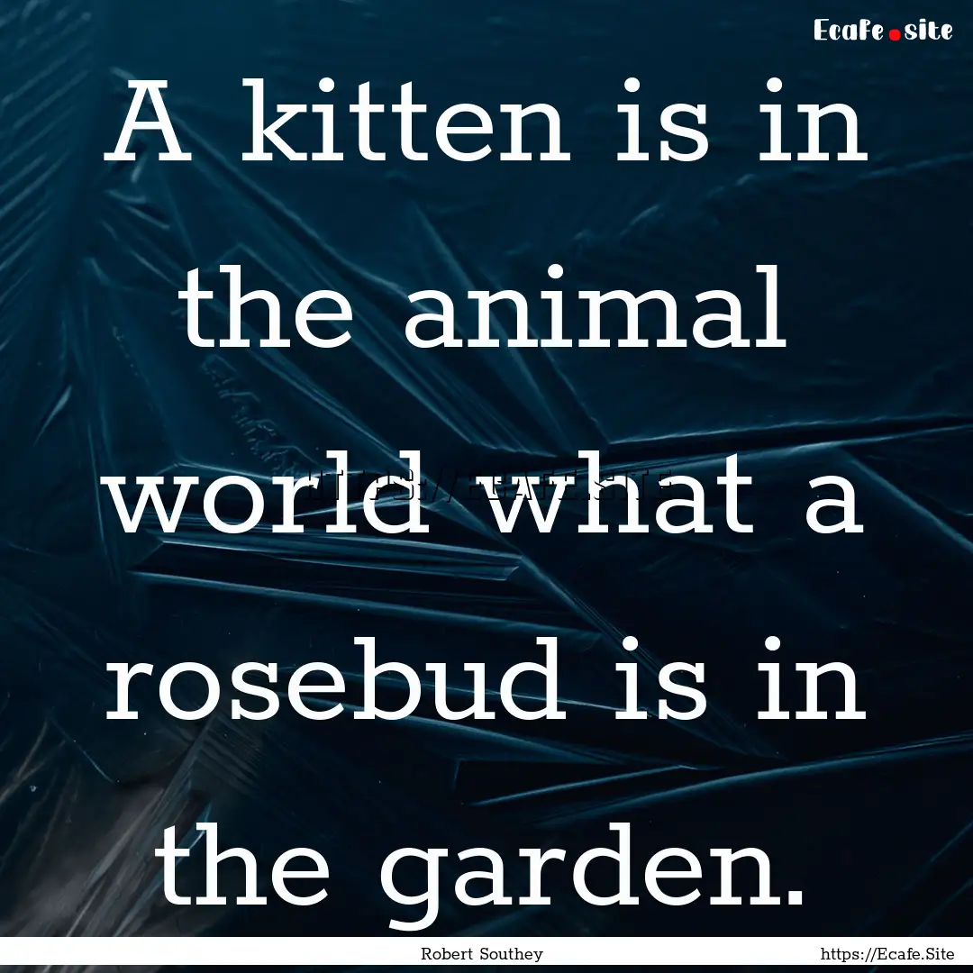 A kitten is in the animal world what a rosebud.... : Quote by Robert Southey