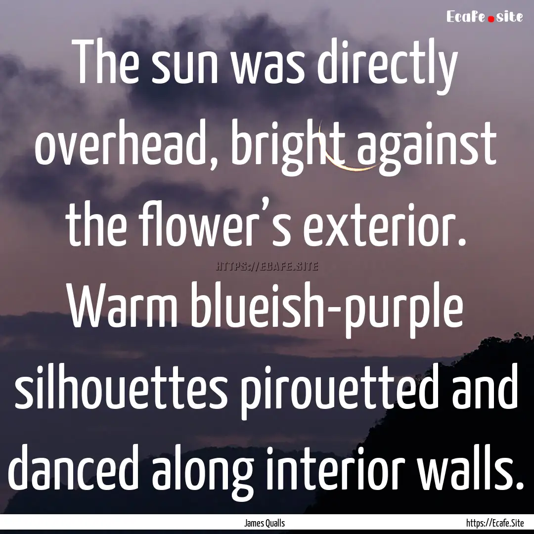 The sun was directly overhead, bright against.... : Quote by James Qualls