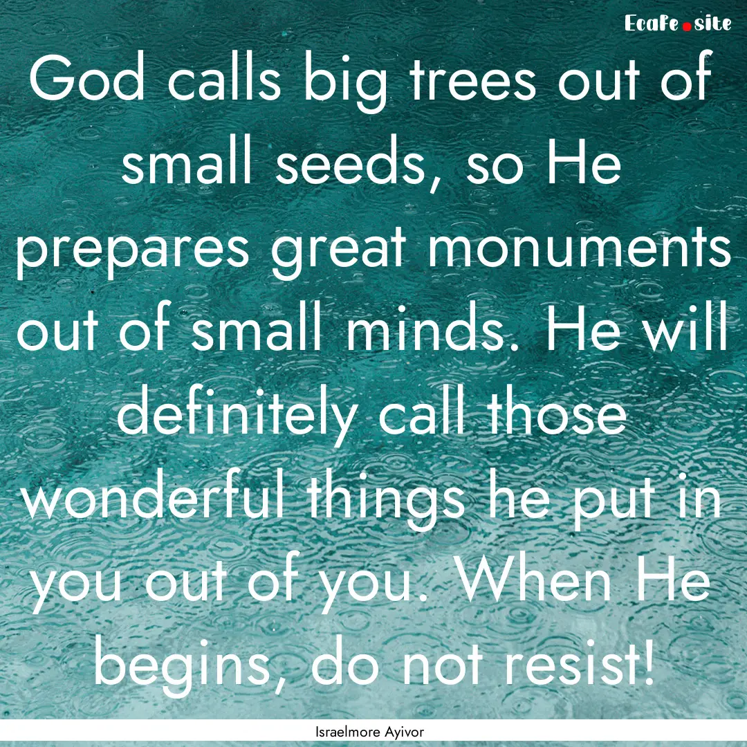 God calls big trees out of small seeds, so.... : Quote by Israelmore Ayivor