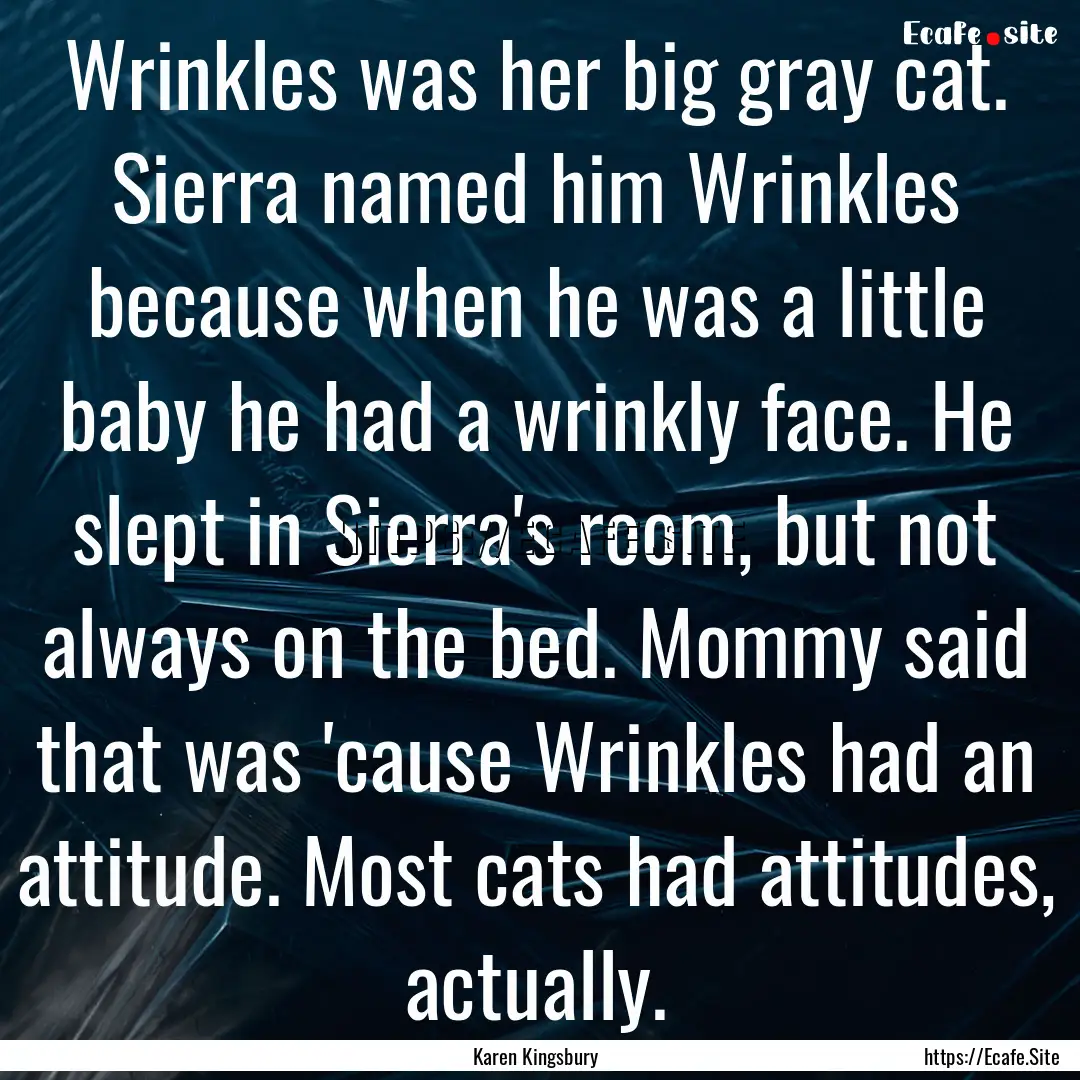 Wrinkles was her big gray cat. Sierra named.... : Quote by Karen Kingsbury