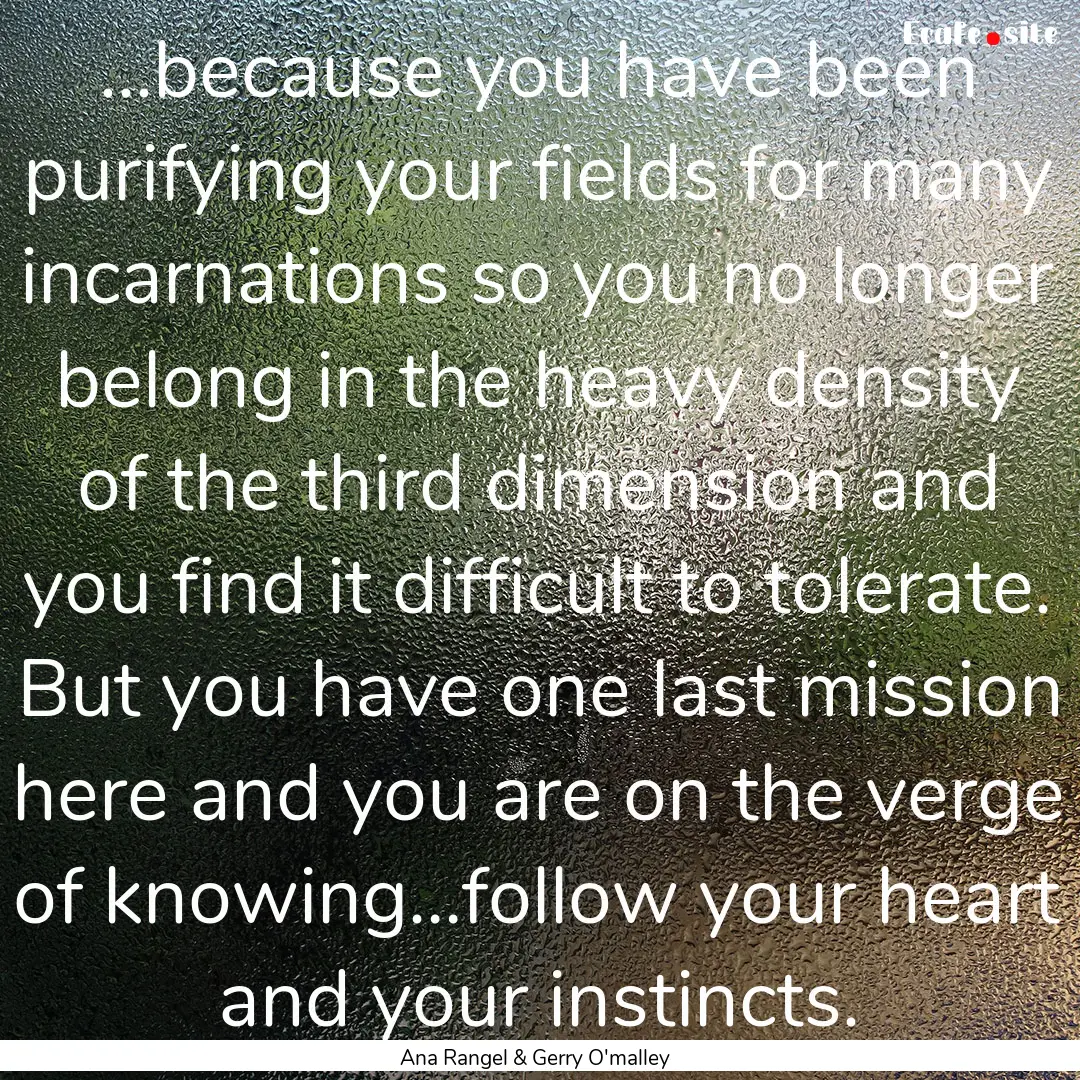 ...because you have been purifying your fields.... : Quote by Ana Rangel & Gerry O'malley