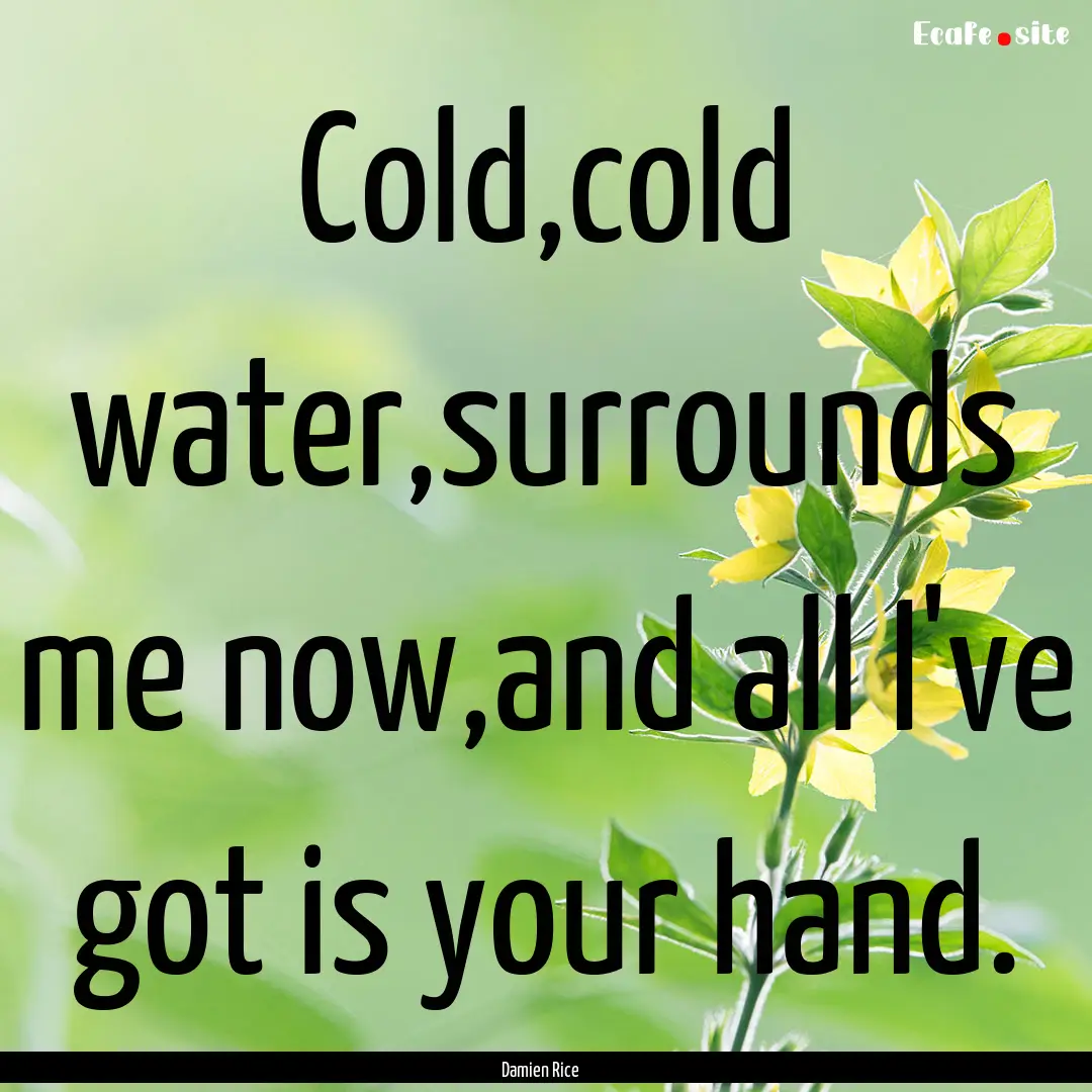 Cold,cold water,surrounds me now,and all.... : Quote by Damien Rice