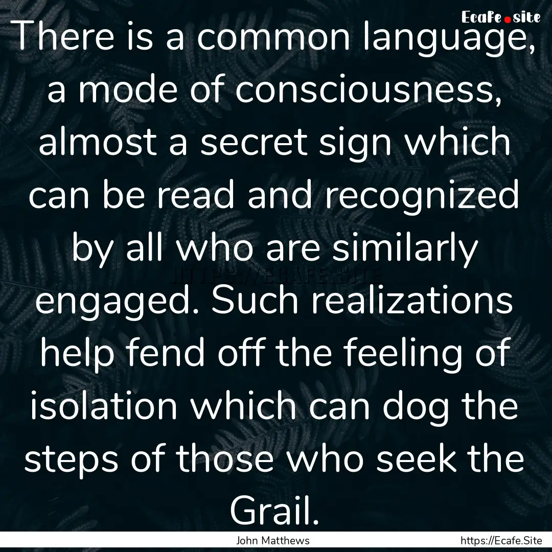 There is a common language, a mode of consciousness,.... : Quote by John Matthews