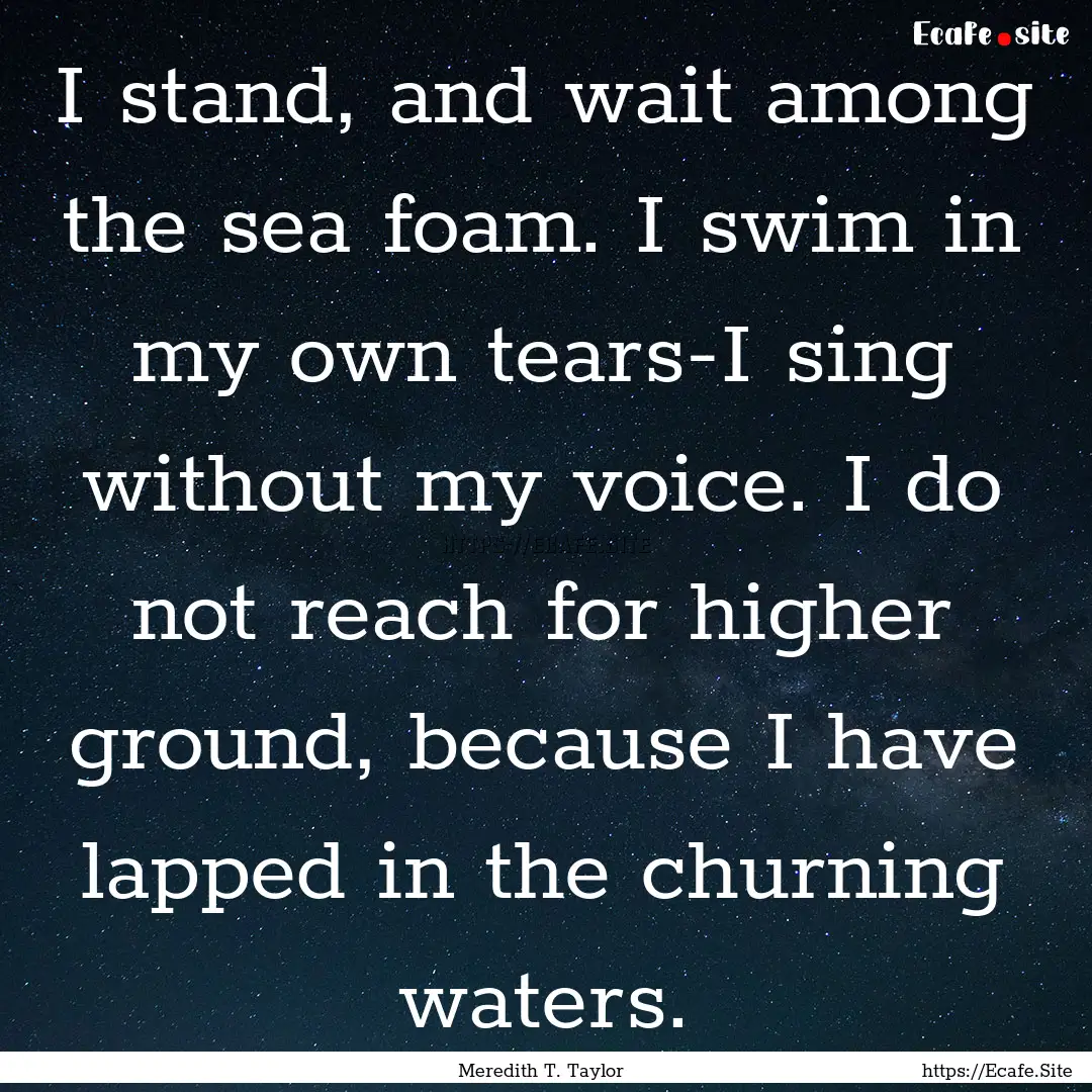 I stand, and wait among the sea foam. I swim.... : Quote by Meredith T. Taylor