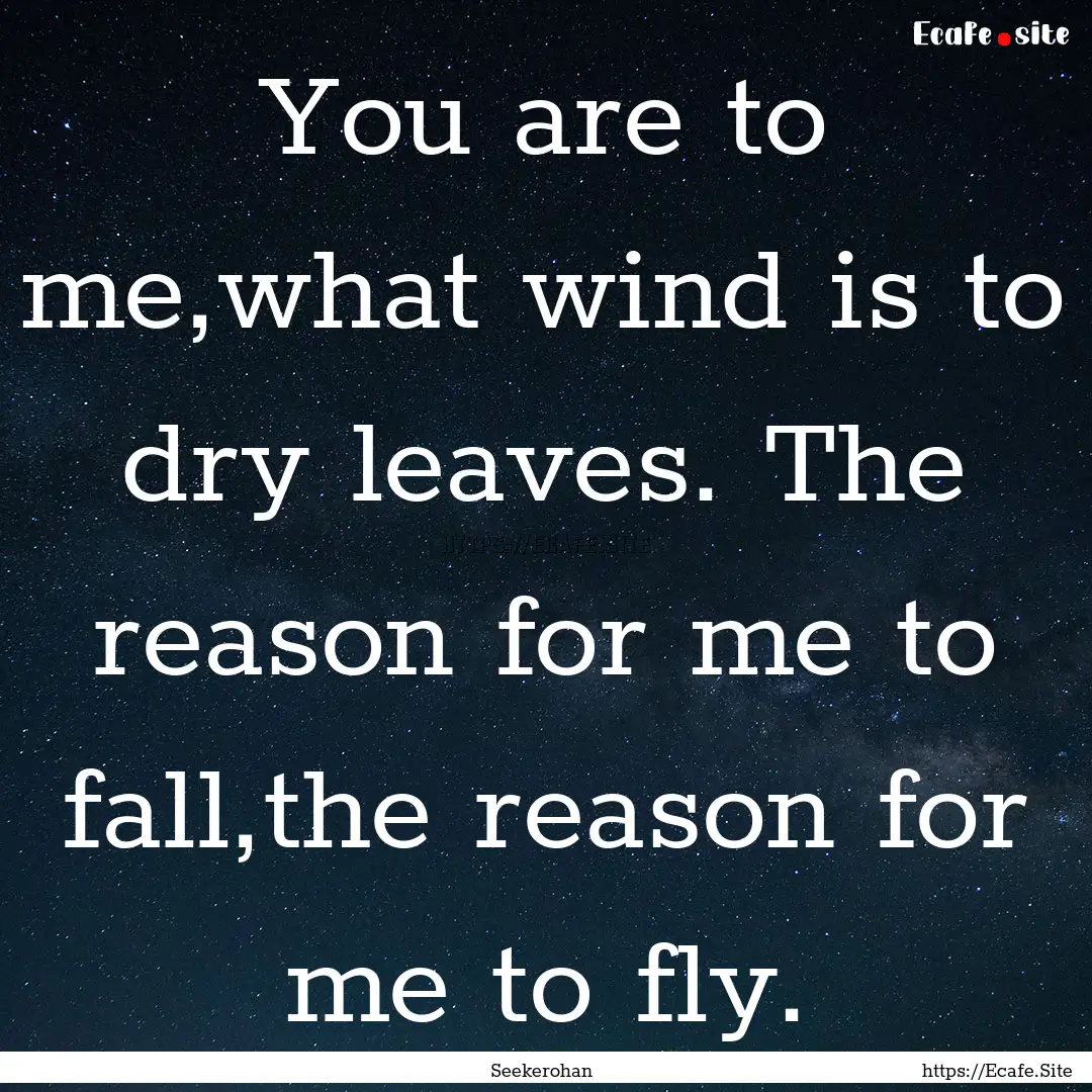 You are to me,what wind is to dry leaves..... : Quote by Seekerohan