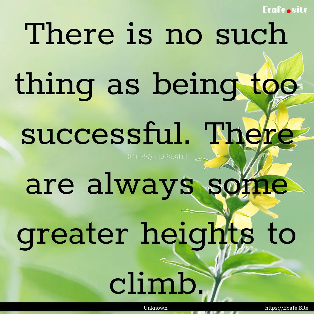 There is no such thing as being too successful..... : Quote by Unknown