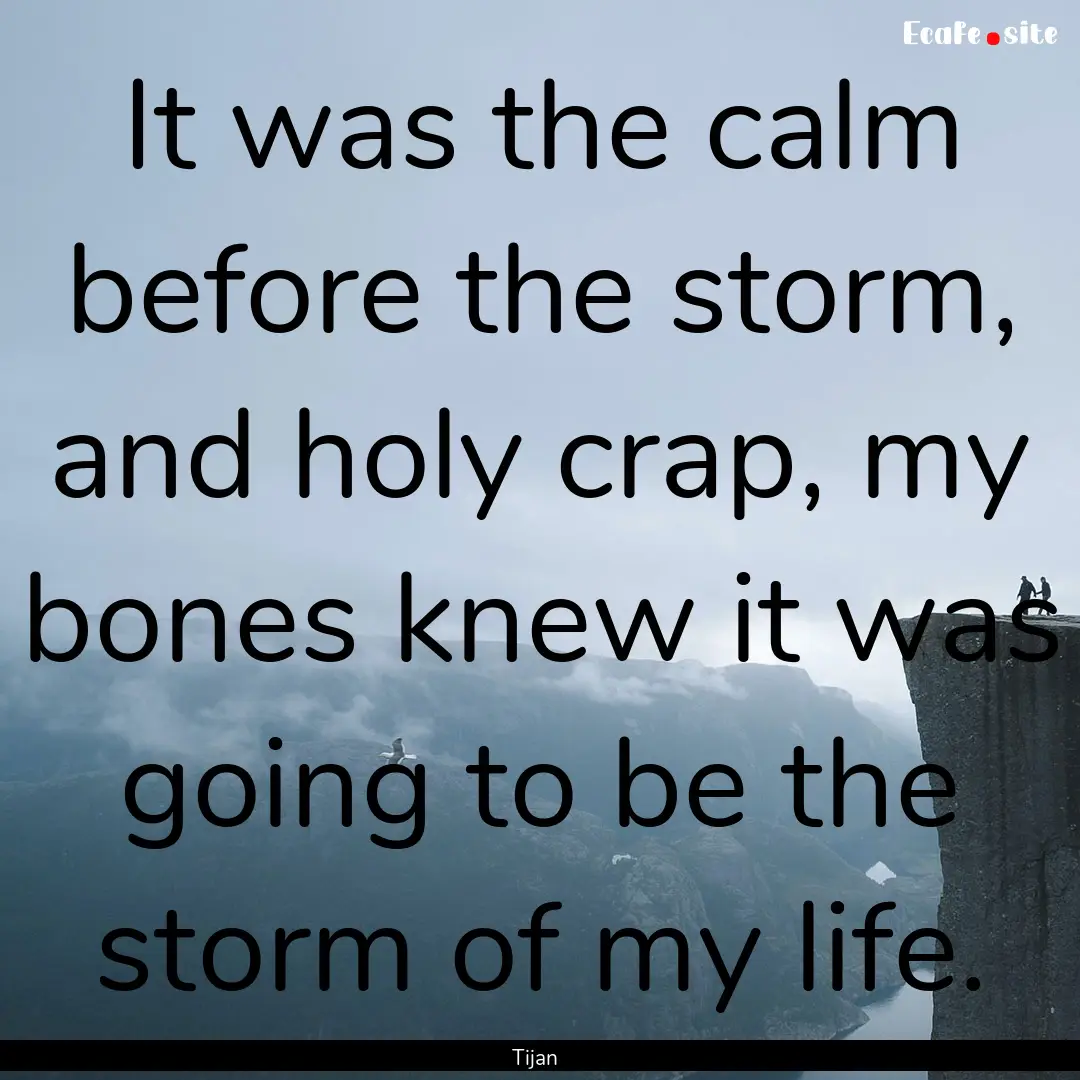 It was the calm before the storm, and holy.... : Quote by Tijan