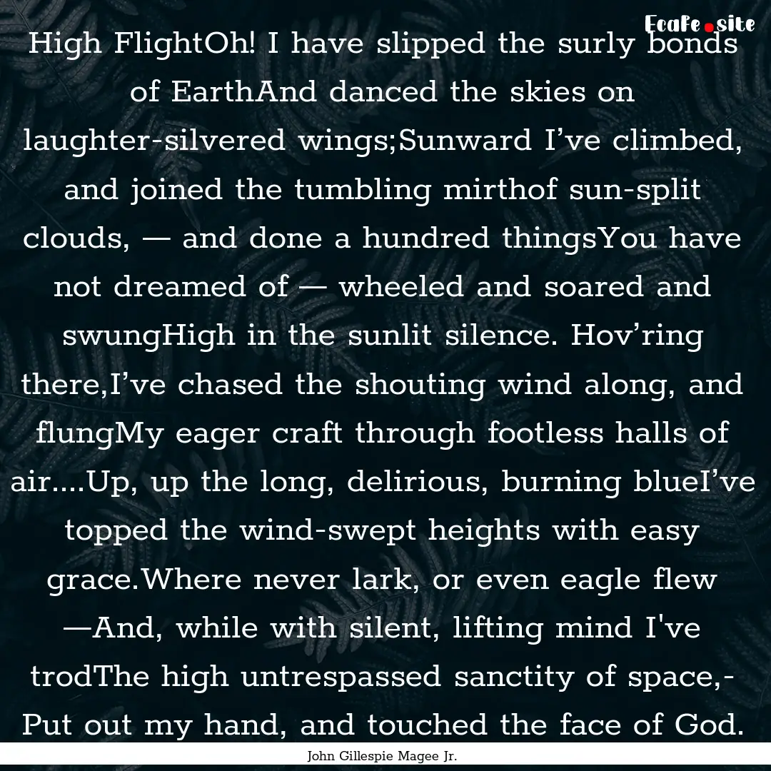 High FlightOh! I have slipped the surly bonds.... : Quote by John Gillespie Magee Jr.