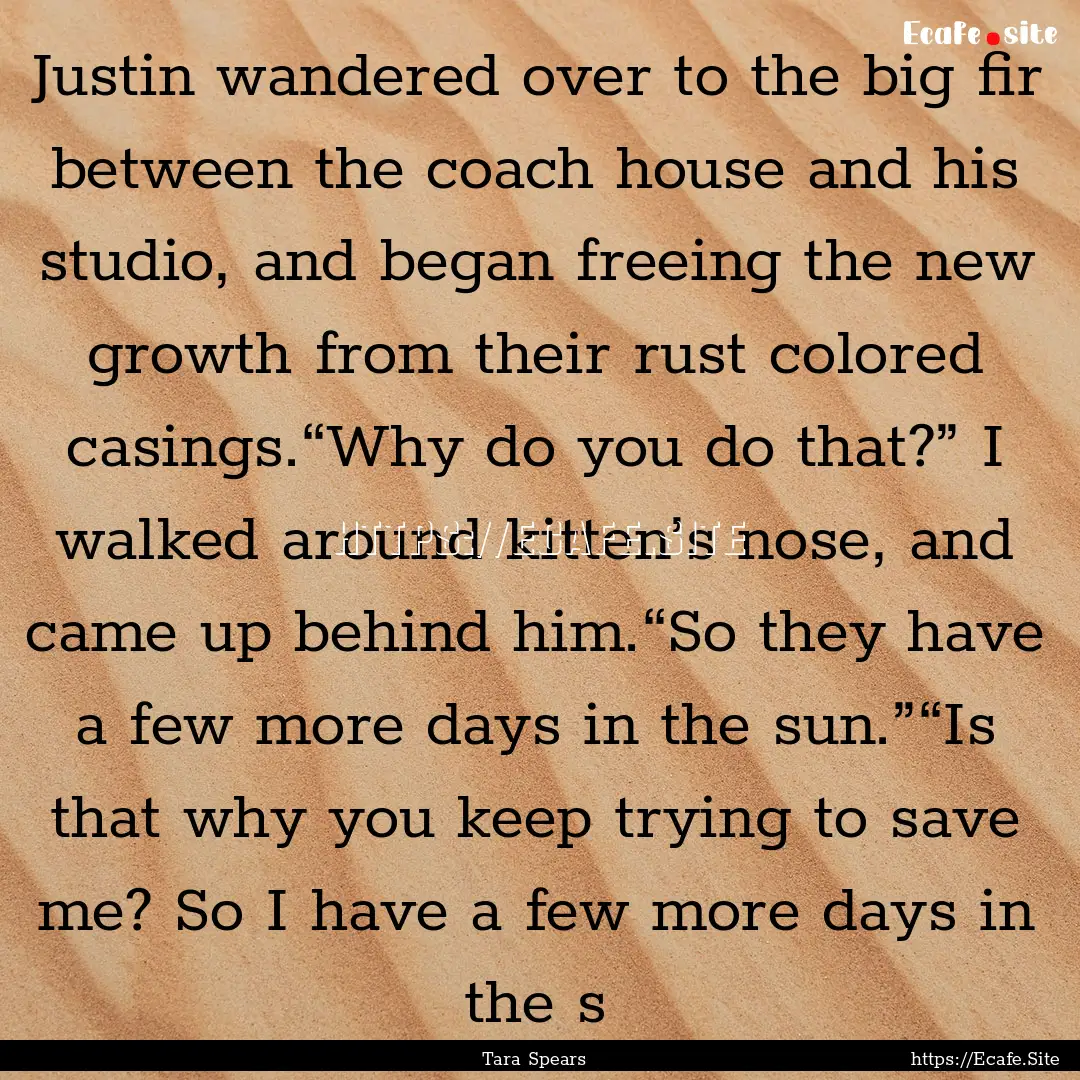 Justin wandered over to the big fir between.... : Quote by Tara Spears