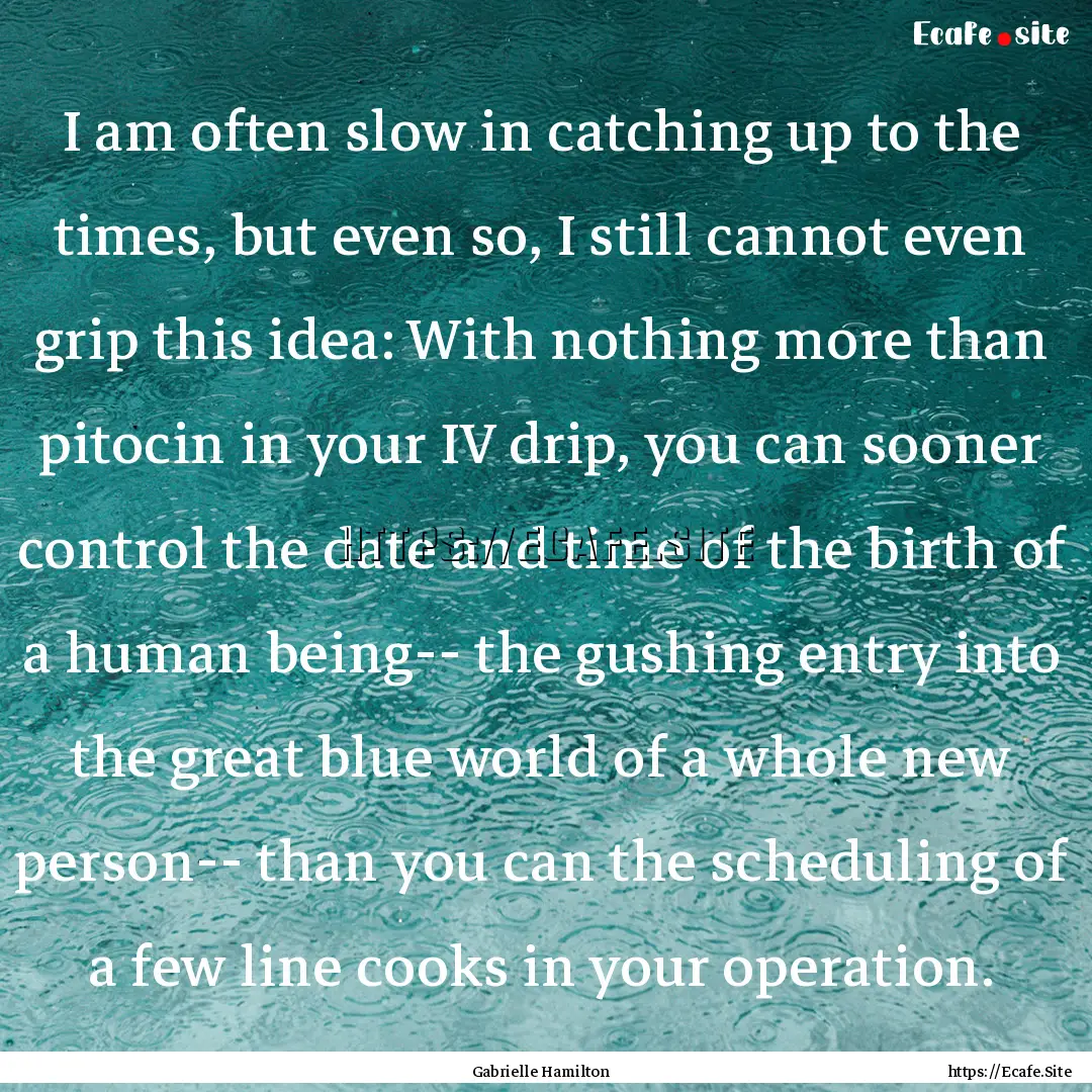 I am often slow in catching up to the times,.... : Quote by Gabrielle Hamilton