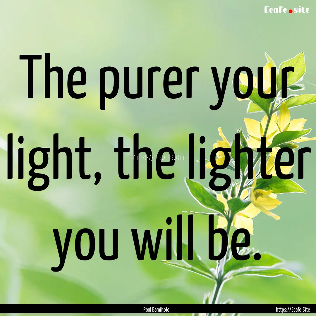 The purer your light, the lighter you will.... : Quote by Paul Bamikole