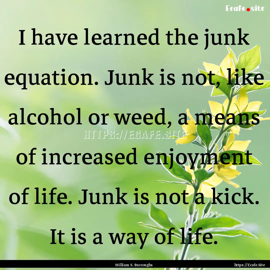 I have learned the junk equation. Junk is.... : Quote by William S. Burroughs