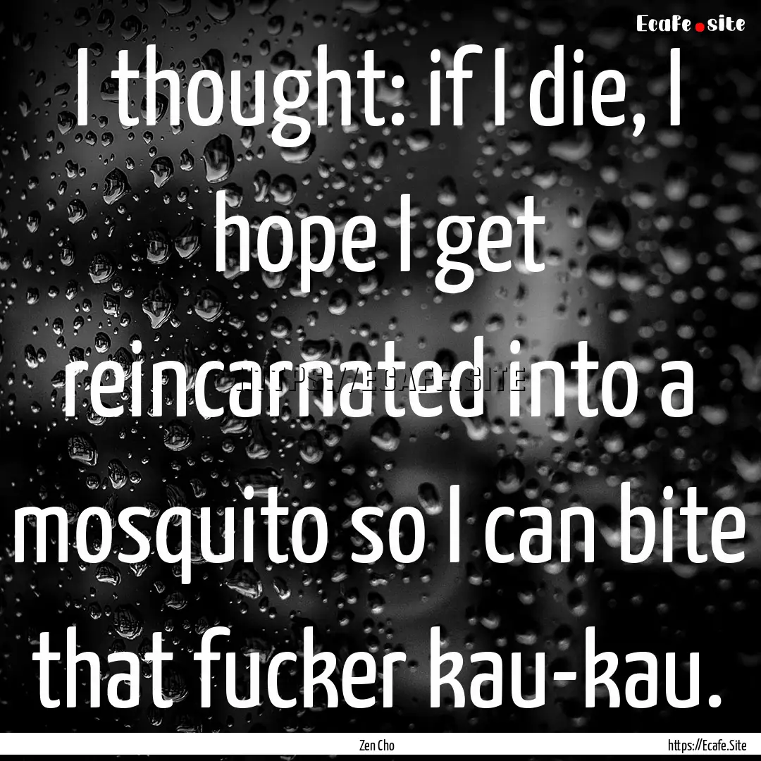 I thought: if I die, I hope I get reincarnated.... : Quote by Zen Cho