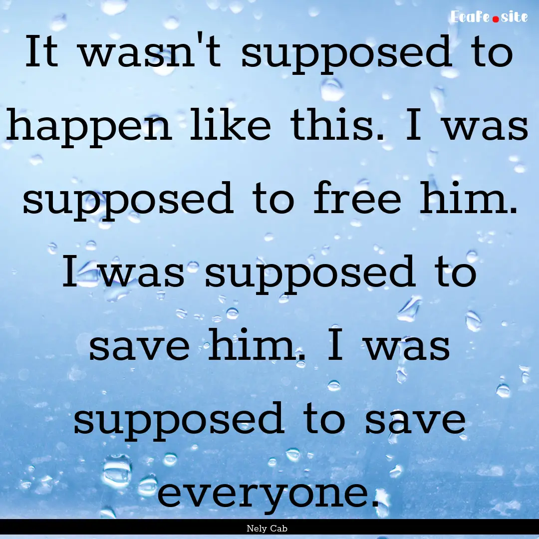 It wasn't supposed to happen like this. I.... : Quote by Nely Cab