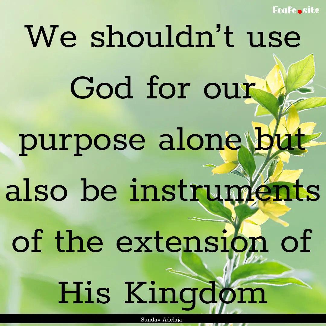 We shouldn’t use God for our purpose alone.... : Quote by Sunday Adelaja