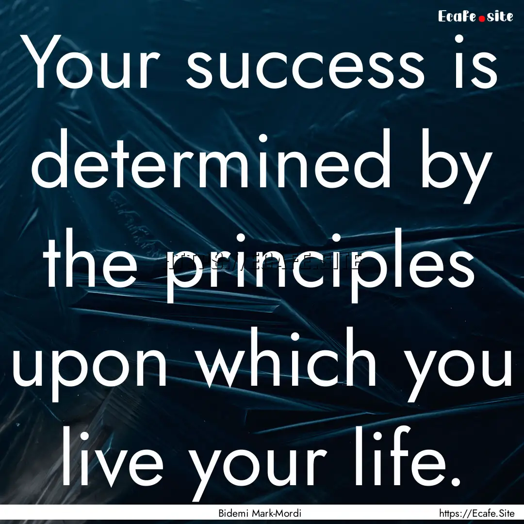 Your success is determined by the principles.... : Quote by Bidemi Mark-Mordi