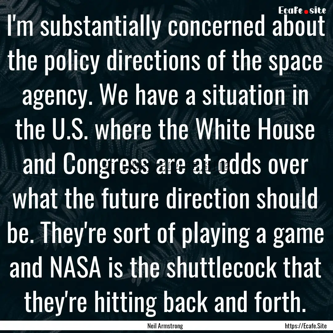 I'm substantially concerned about the policy.... : Quote by Neil Armstrong