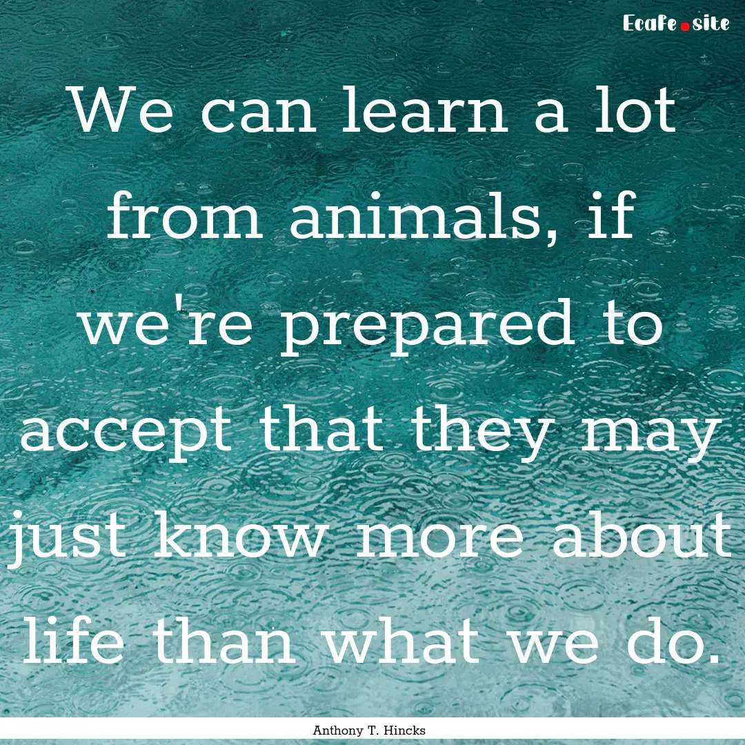 We can learn a lot from animals, if we're.... : Quote by Anthony T. Hincks