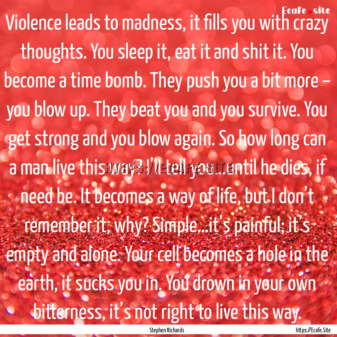 Violence leads to madness, it fills you with.... : Quote by Stephen Richards