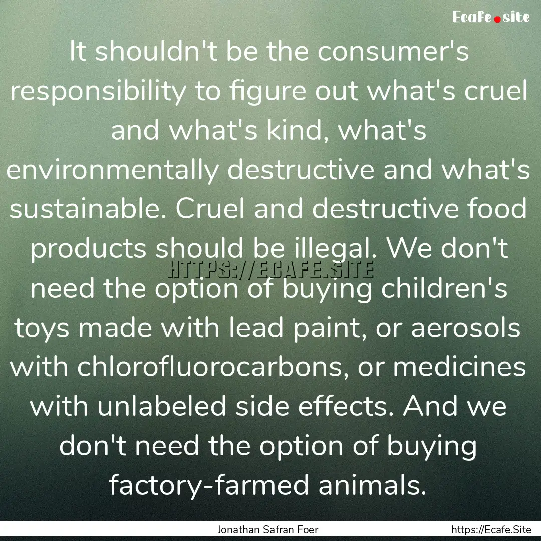 It shouldn't be the consumer's responsibility.... : Quote by Jonathan Safran Foer