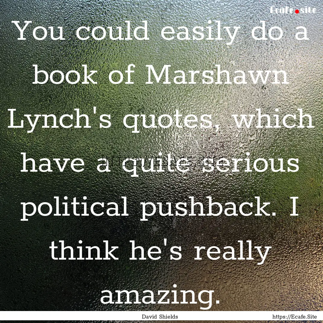 You could easily do a book of Marshawn Lynch's.... : Quote by David Shields