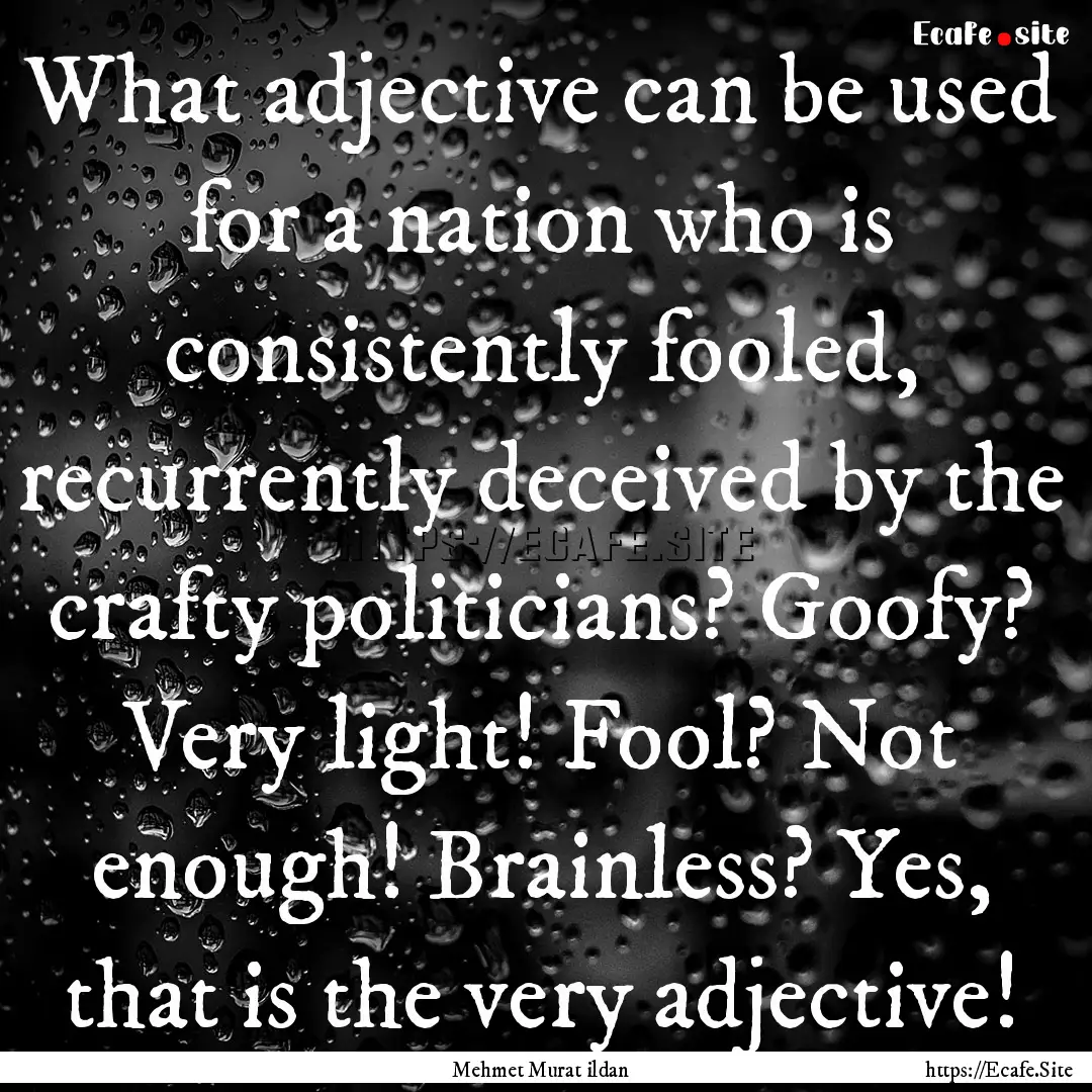 What adjective can be used for a nation who.... : Quote by Mehmet Murat ildan