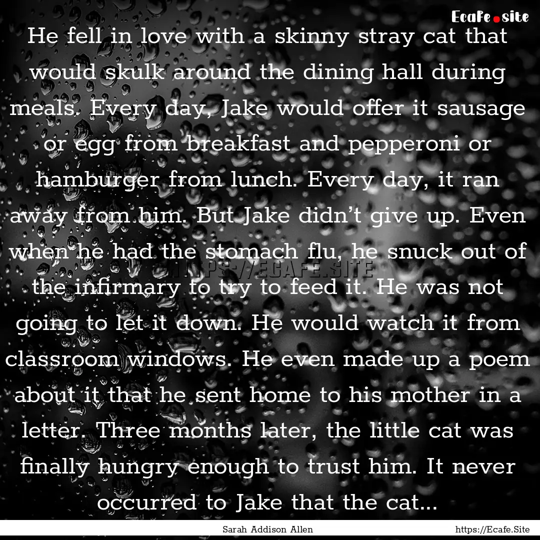 He fell in love with a skinny stray cat that.... : Quote by Sarah Addison Allen