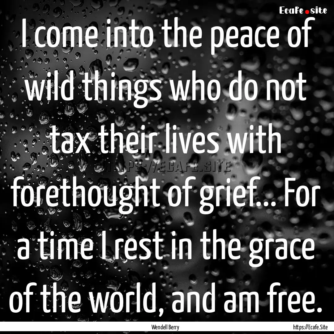 I come into the peace of wild things who.... : Quote by Wendell Berry