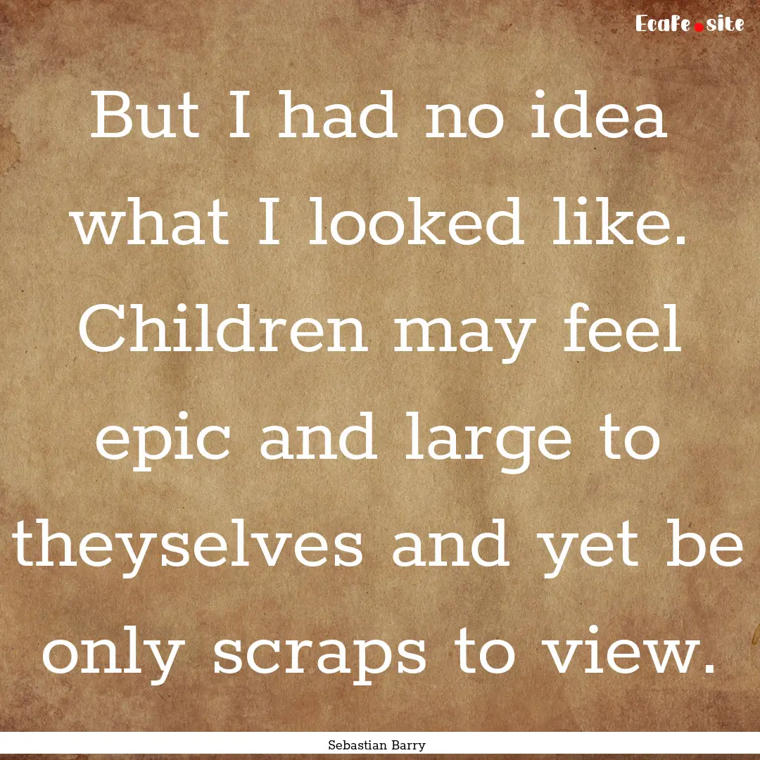 But I had no idea what I looked like. Children.... : Quote by Sebastian Barry