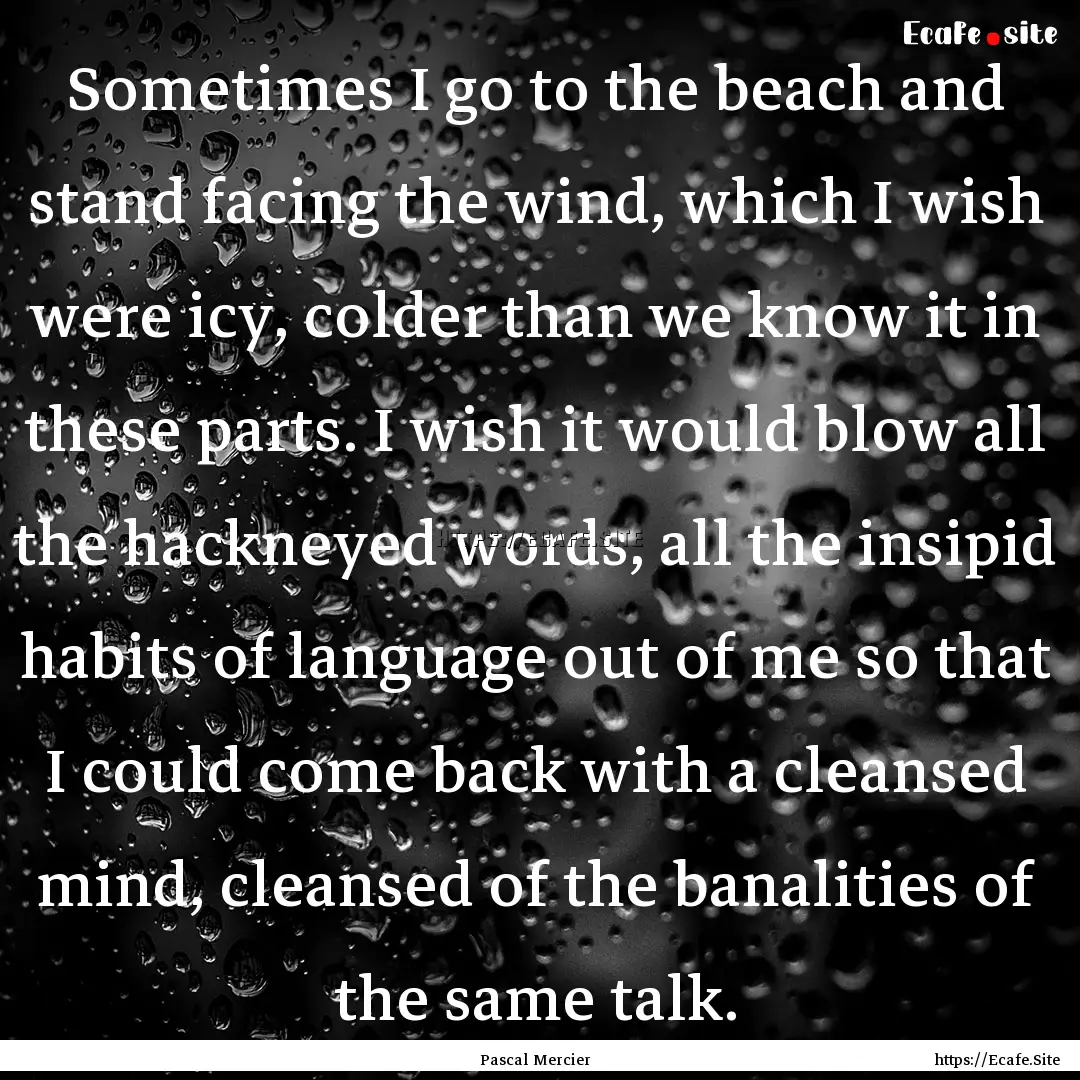 Sometimes I go to the beach and stand facing.... : Quote by Pascal Mercier