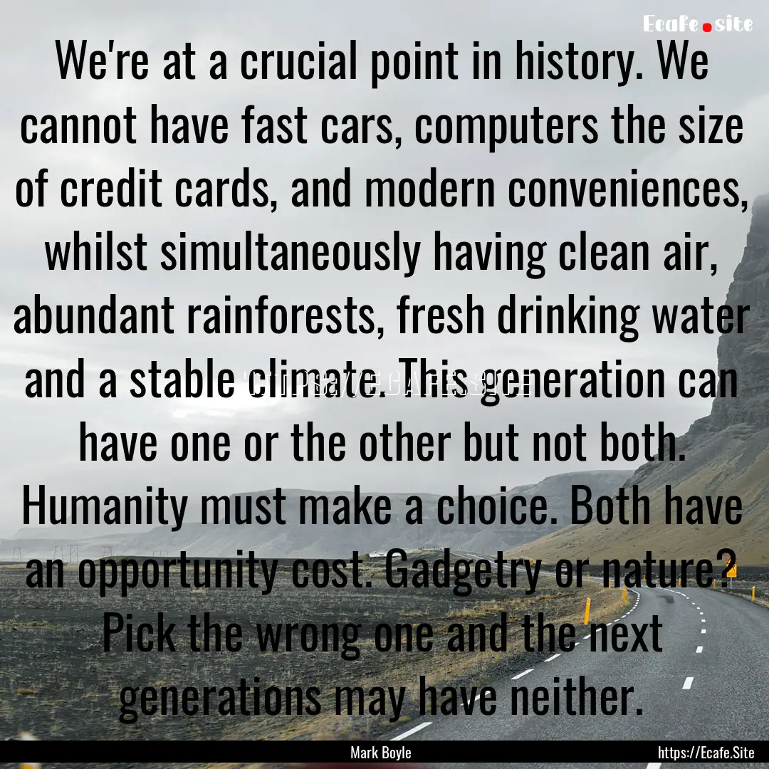 We're at a crucial point in history. We cannot.... : Quote by Mark Boyle