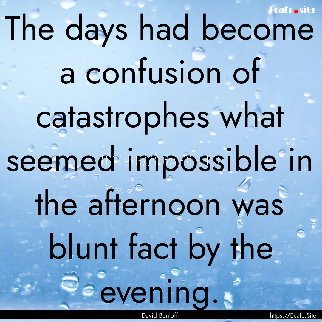 The days had become a confusion of catastrophes.... : Quote by David Benioff