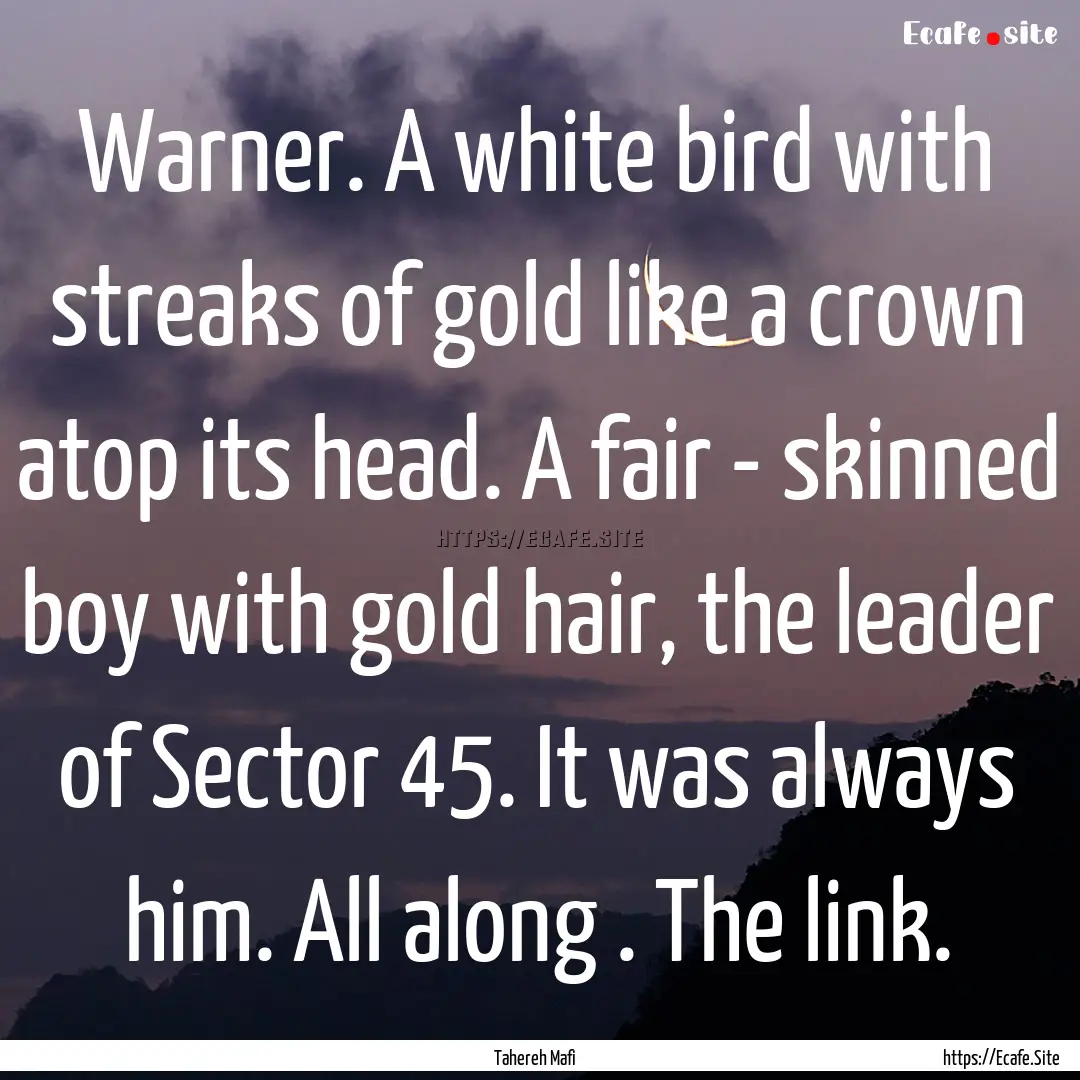 Warner. A white bird with streaks of gold.... : Quote by Tahereh Mafi