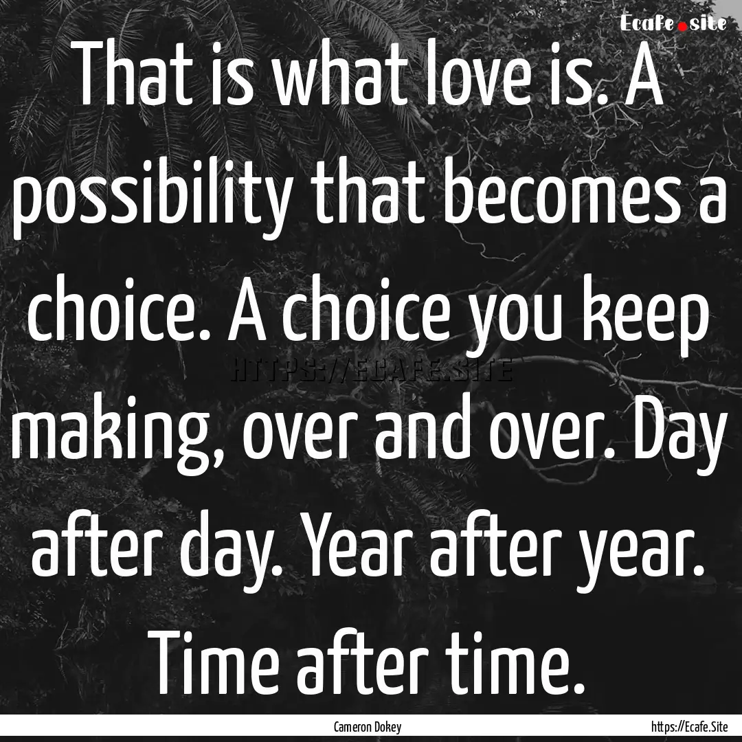 That is what love is. A possibility that.... : Quote by Cameron Dokey