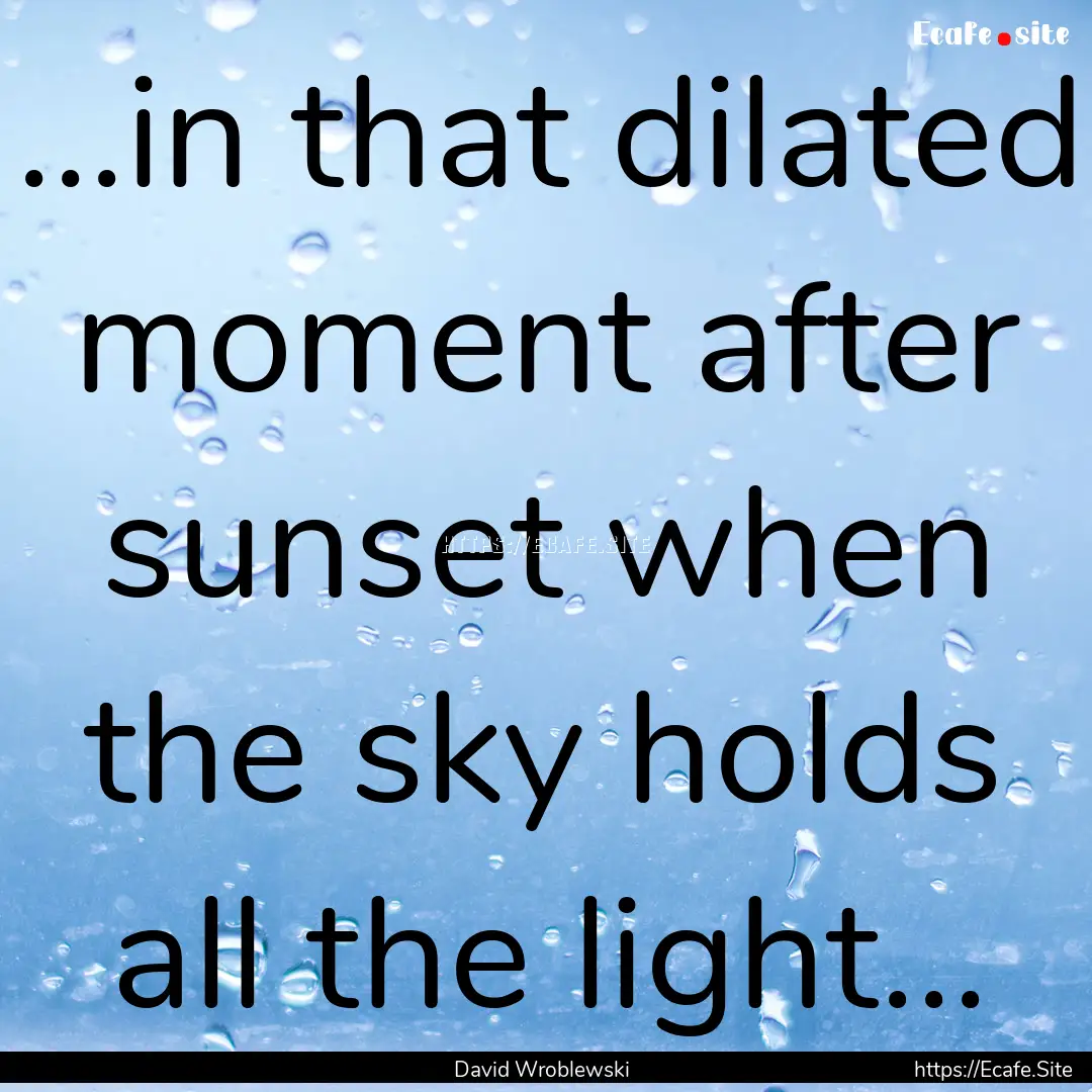 ...in that dilated moment after sunset when.... : Quote by David Wroblewski