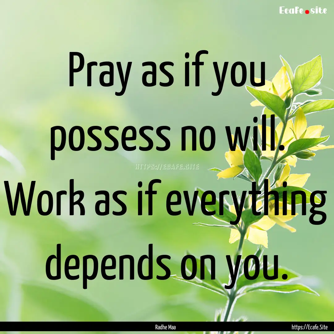 Pray as if you possess no will. Work as if.... : Quote by Radhe Maa