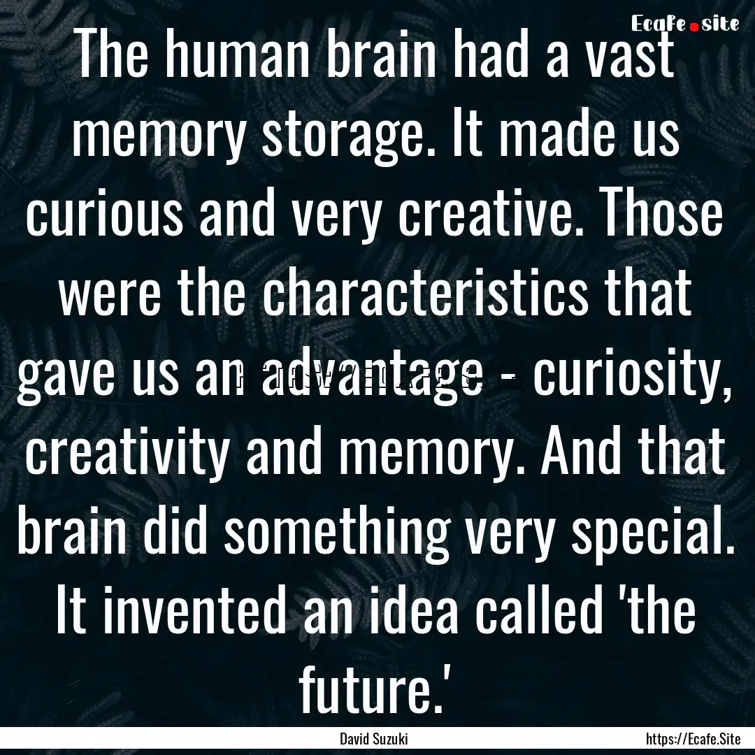 The human brain had a vast memory storage..... : Quote by David Suzuki