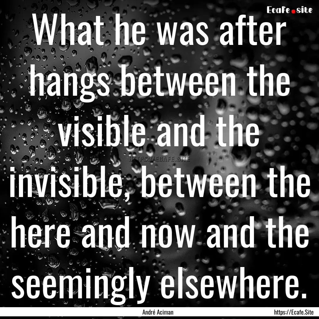 What he was after hangs between the visible.... : Quote by André Aciman