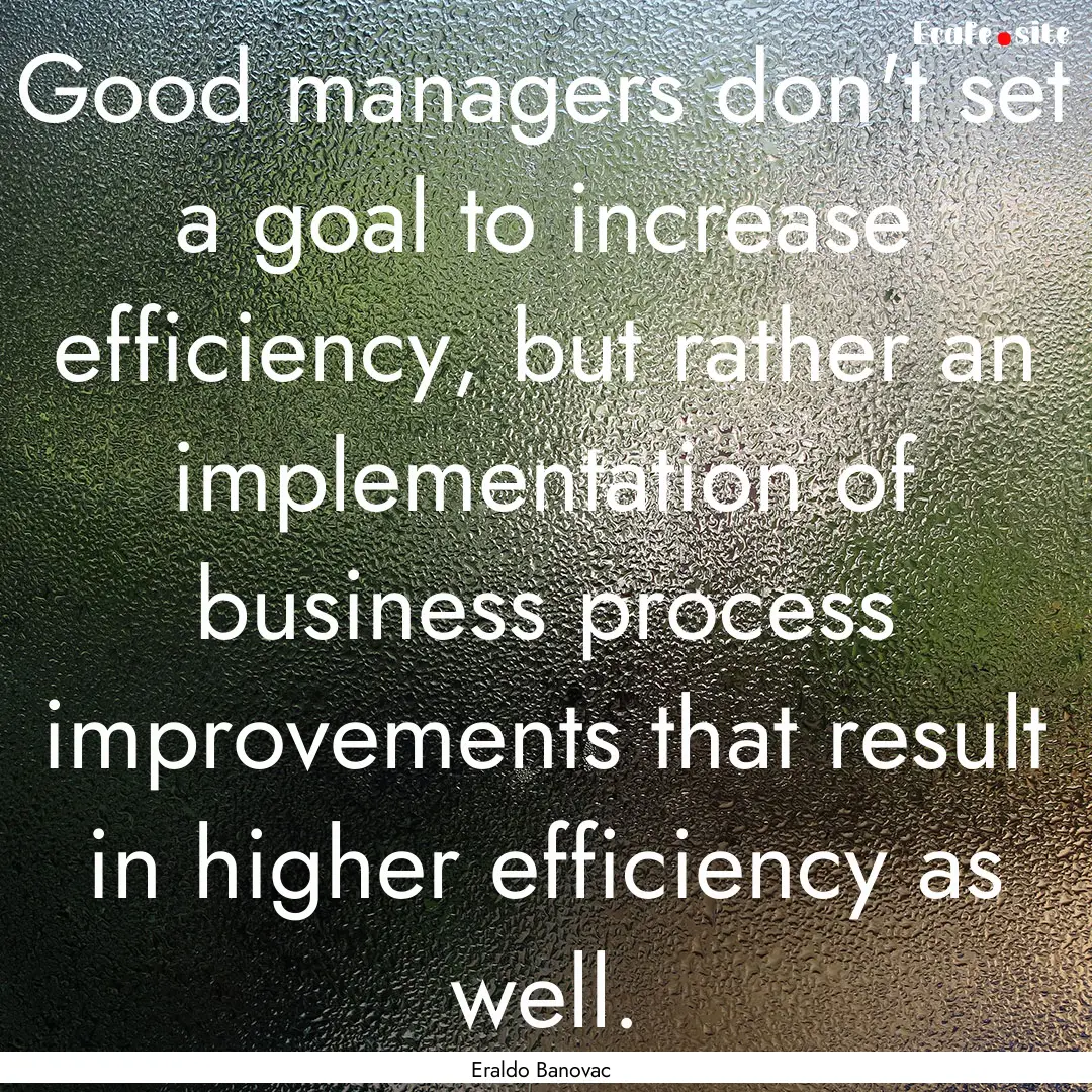 Good managers don't set a goal to increase.... : Quote by Eraldo Banovac