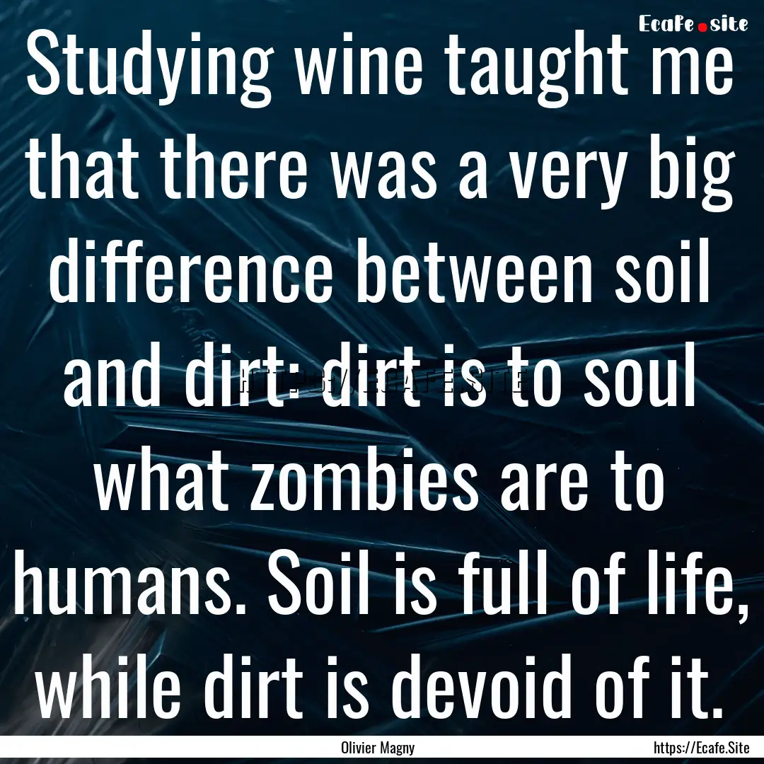 Studying wine taught me that there was a.... : Quote by Olivier Magny