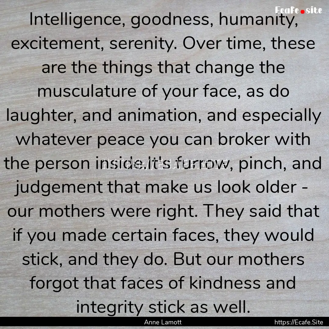 Intelligence, goodness, humanity, excitement,.... : Quote by Anne Lamott