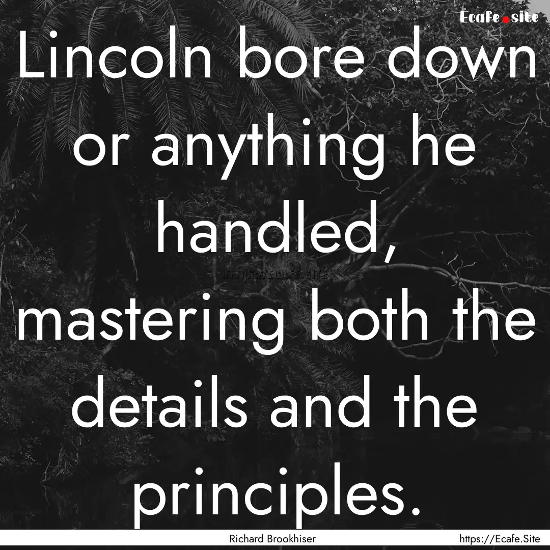 Lincoln bore down or anything he handled,.... : Quote by Richard Brookhiser