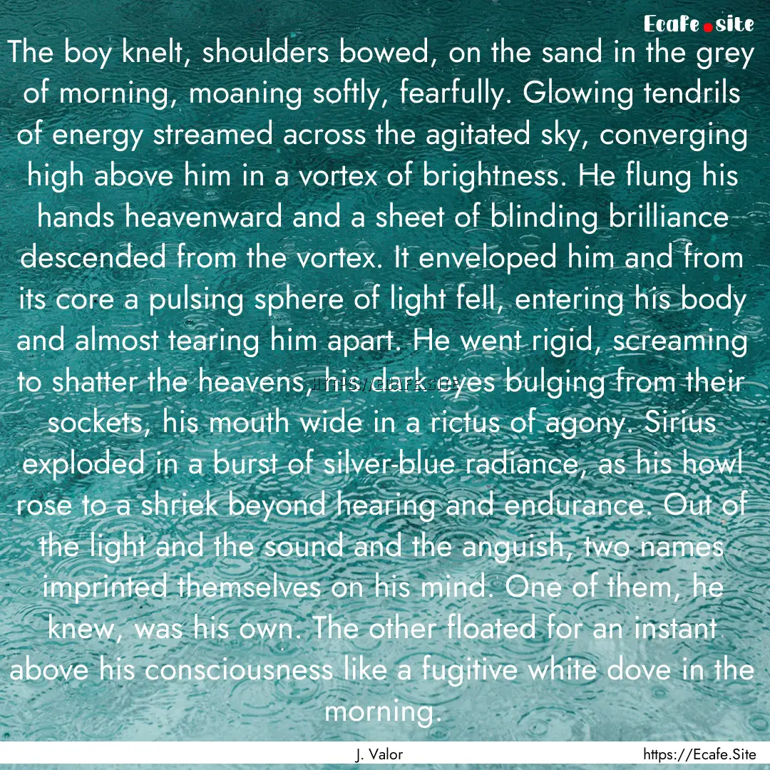 The boy knelt, shoulders bowed, on the sand.... : Quote by J. Valor