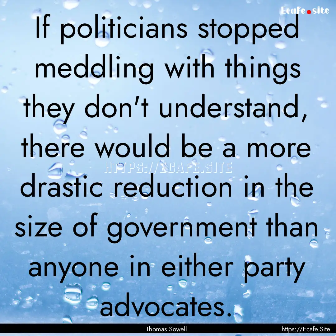 If politicians stopped meddling with things.... : Quote by Thomas Sowell