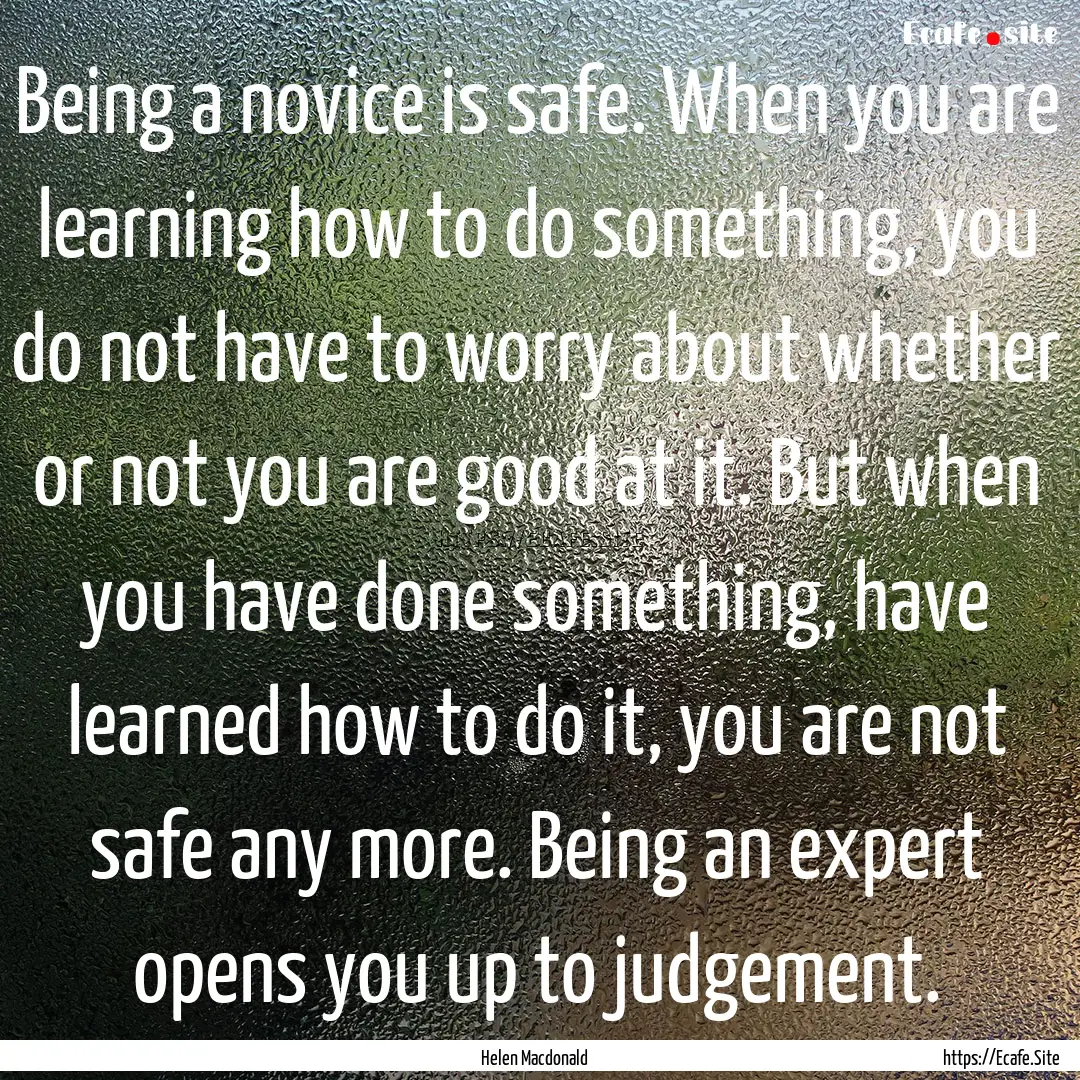 Being a novice is safe. When you are learning.... : Quote by Helen Macdonald