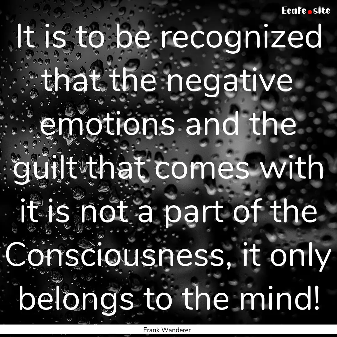 It is to be recognized that the negative.... : Quote by Frank Wanderer