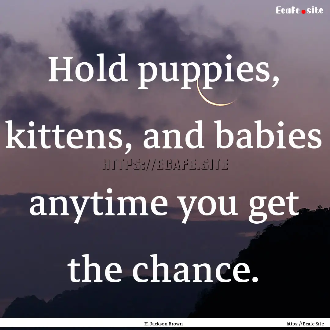 Hold puppies, kittens, and babies anytime.... : Quote by H. Jackson Brown