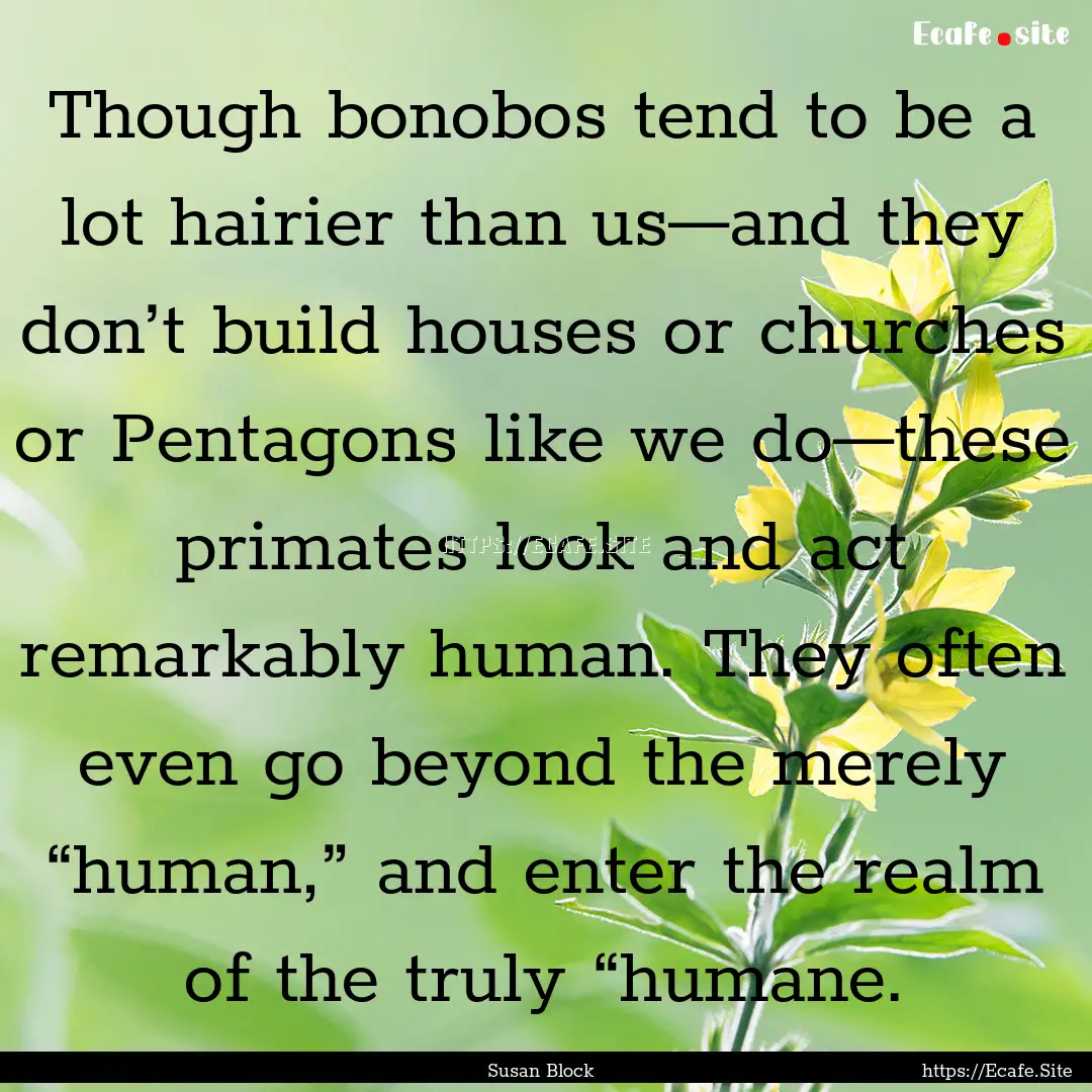 Though bonobos tend to be a lot hairier than.... : Quote by Susan Block