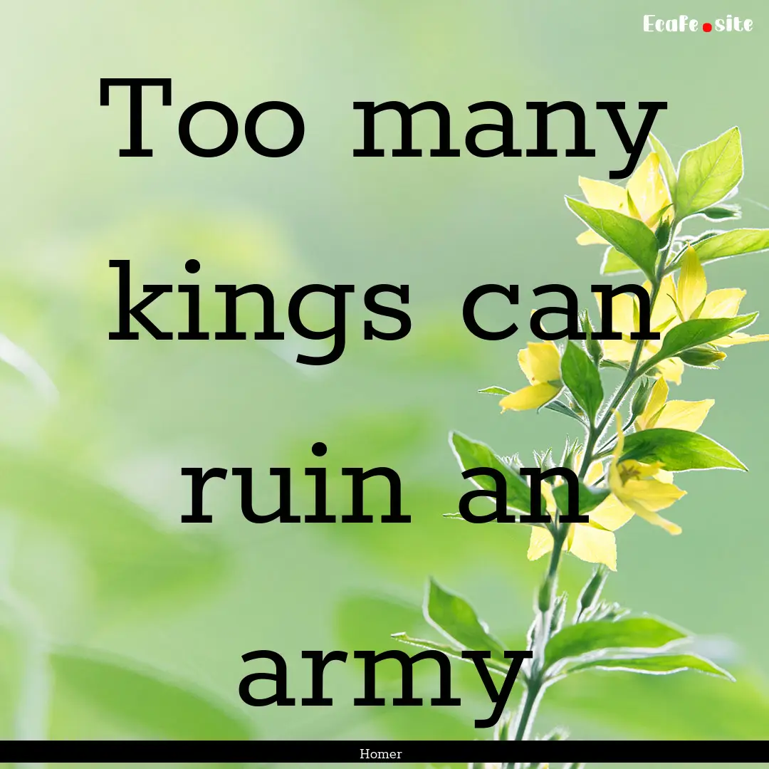 Too many kings can ruin an army : Quote by Homer